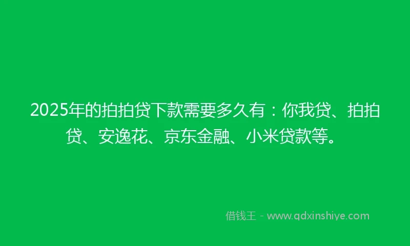 2025年的拍拍贷下款需要多久有：你我贷、拍拍贷、安逸花、京东金融、小米贷款等。