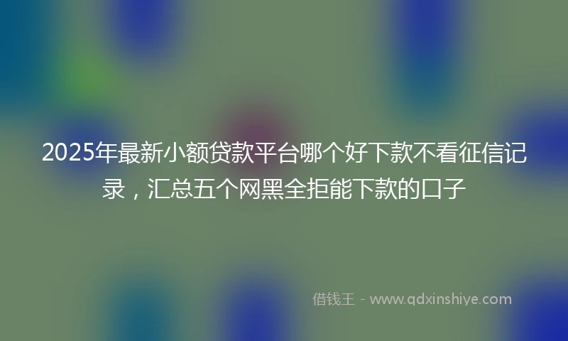 2025年最新小额贷款平台哪个好下款不看征信记录，汇总五个网黑全拒能下款的口子