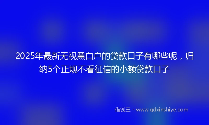 2025年最新无视黑白户的贷款口子有哪些呢，归纳5个正规不看征信的小额贷款口子