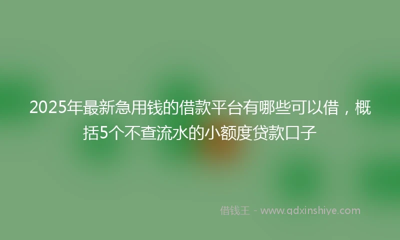 2025年最新急用钱的借款平台有哪些可以借，概括5个不查流水的小额度贷款口子