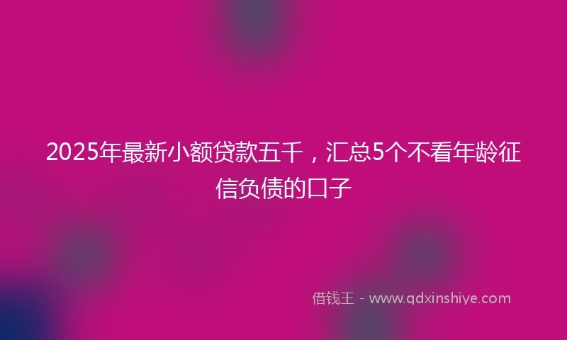 2025年最新小额贷款五千，汇总5个不看年龄征信负债的口子