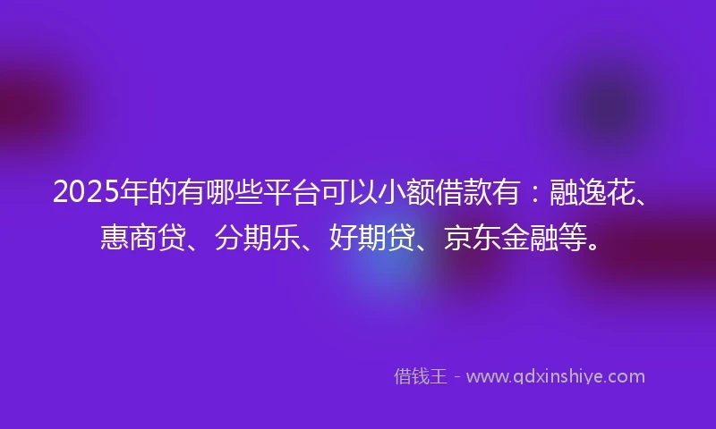 2025年的有哪些平台可以小额借款有：融逸花、惠商贷、分期乐、好期贷、京东金融等。