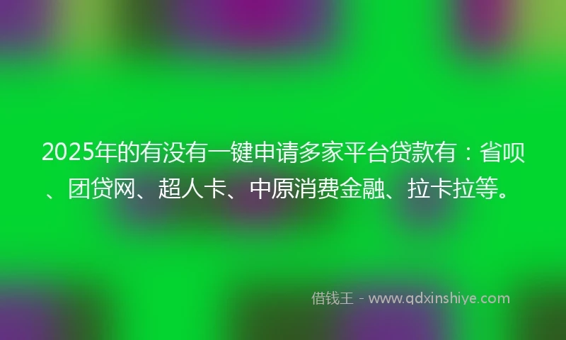 2025年的有没有一键申请多家平台贷款有：省呗、团贷网、超人卡、中原消费金融、拉卡拉等。