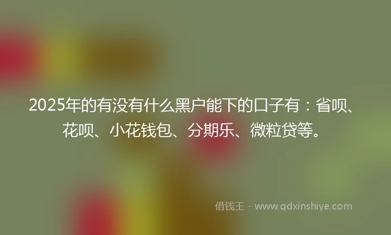 2025年的有没有什么黑户能下的口子有：省呗、花呗、小花钱包、分期乐、微粒贷等。