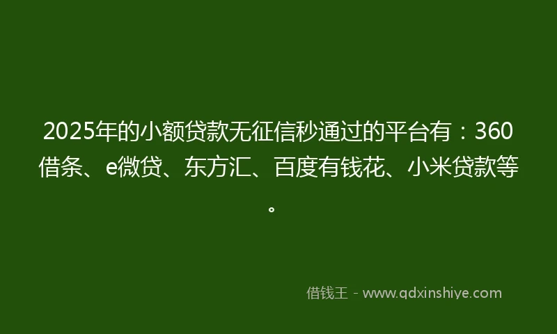 2025年的小额贷款无征信秒通过的平台有:360借条、e微贷、东方汇、百度有钱花、小米贷款等。