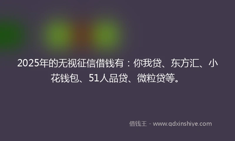 2025年的无视征信借钱有：你我贷、东方汇、小花钱包、51人品贷、微粒贷等。