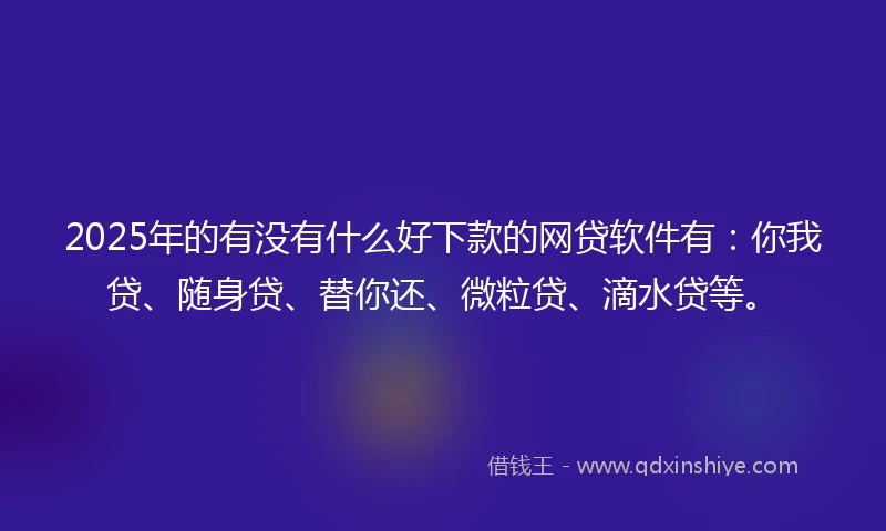 2025年的有没有什么好下款的网贷软件有：你我贷、随身贷、替你还、微粒贷、滴水贷等。