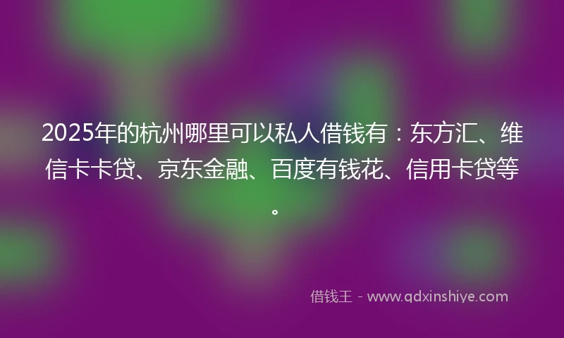 2025年的杭州哪里可以私人借钱有：东方汇、维信卡卡贷、京东金融、百度有钱花、信用卡贷等。