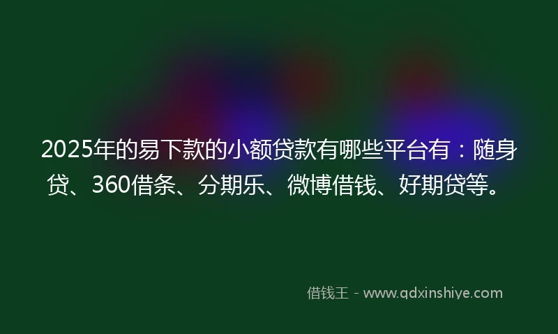 2025年的易下款的小额贷款有哪些平台有：随身贷、360借条、分期乐、微博借钱、好期贷等。