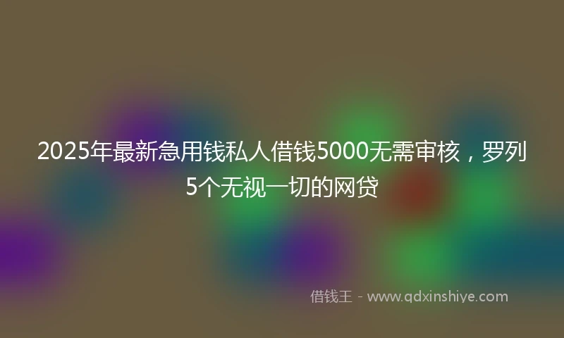 2025年最新急用钱私人借钱5000无需审核，罗列5个无视一切的网贷