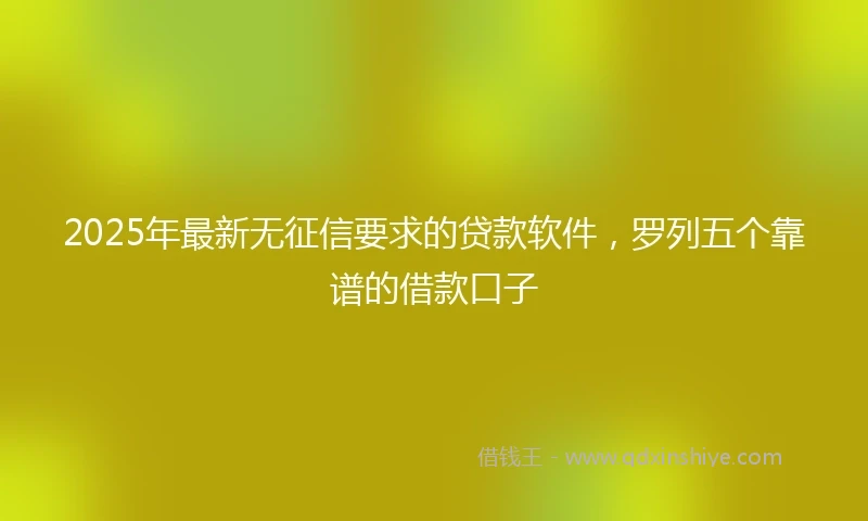 2025年最新无征信要求的贷款软件，罗列五个靠谱的借款口子