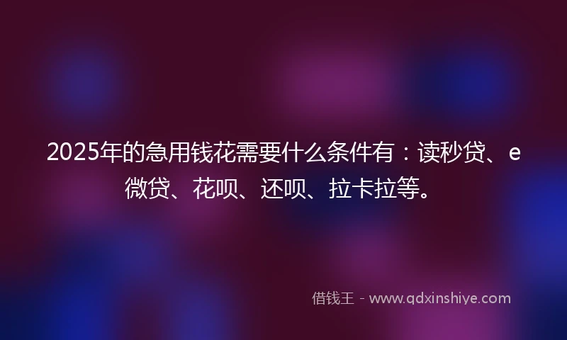2025年的急用钱花需要什么条件有：读秒贷、e微贷、花呗、还呗、拉卡拉等。