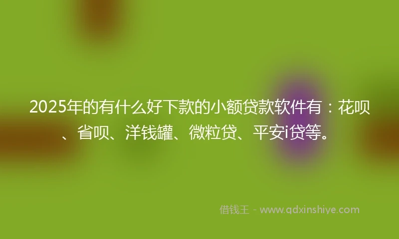 2025年的有什么好下款的小额贷款软件有：花呗、省呗、洋钱罐、微粒贷、平安i贷等。