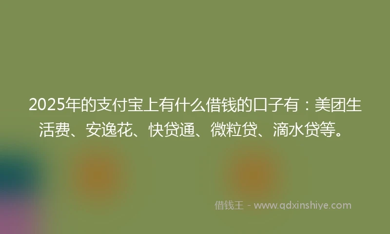 2025年的支付宝上有什么借钱的口子有：美团生活费、安逸花、快贷通、微粒贷、滴水贷等。