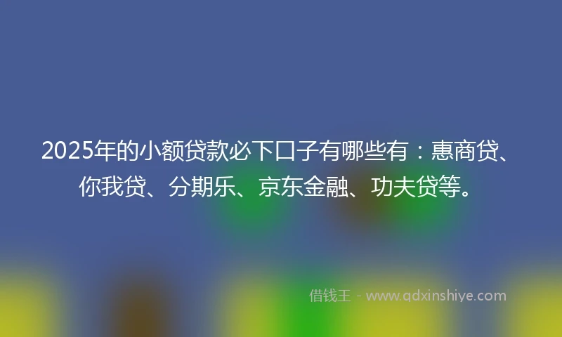 2025年的小额贷款必下口子有哪些有：惠商贷、你我贷、分期乐、京东金融、功夫贷等。