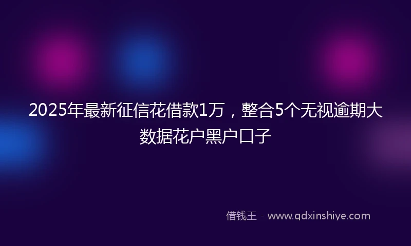 2025年最新征信花借款1万，整合5个无视逾期大数据花户黑户口子