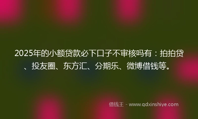 2025年的小额贷款必下口子不审核吗有：拍拍贷、投友圈、东方汇、分期乐、微博借钱等。