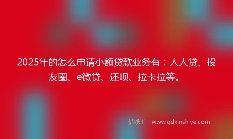 2025年的怎么申请小额贷款业务有：人人贷、投友圈、e微贷、还呗、拉卡拉等。