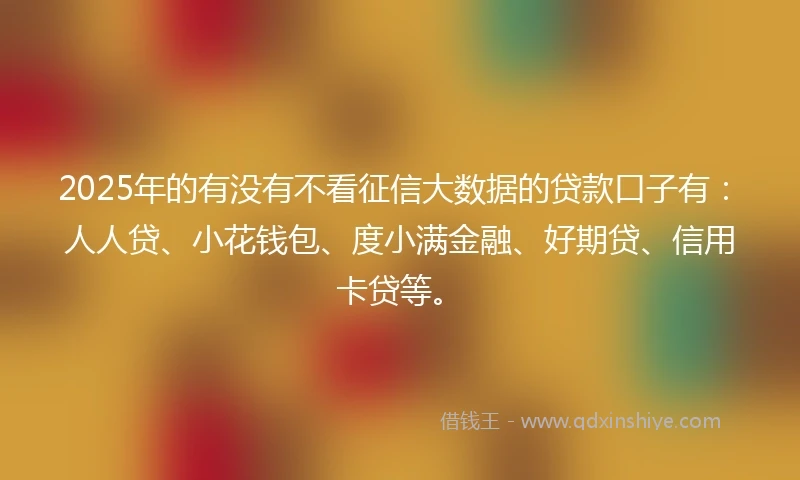 2025年的有没有不看征信大数据的贷款口子有：人人贷、小花钱包、度小满金融、好期贷、信用卡贷等。