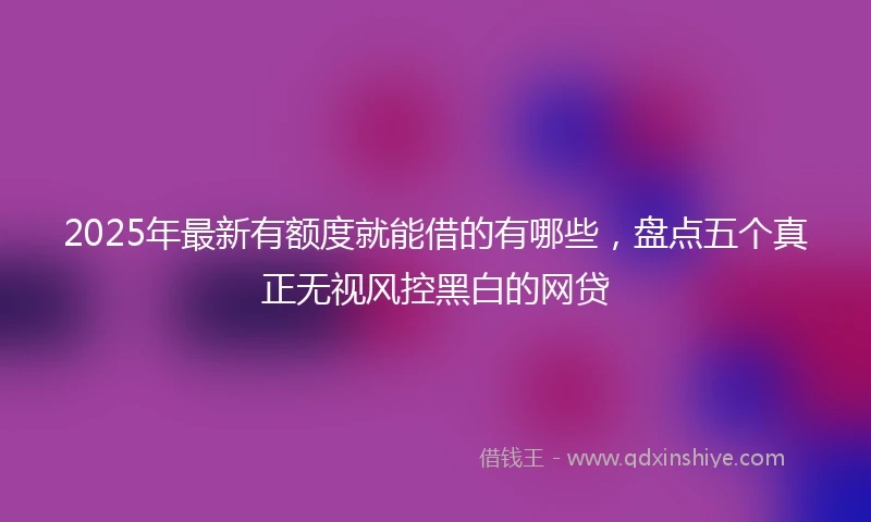 2025年最新有额度就能借的有哪些，盘点五个真正无视风控黑白的网贷