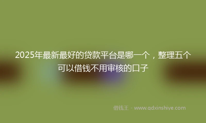 2025年最新最好的贷款平台是哪一个，整理五个可以借钱不用审核的口子