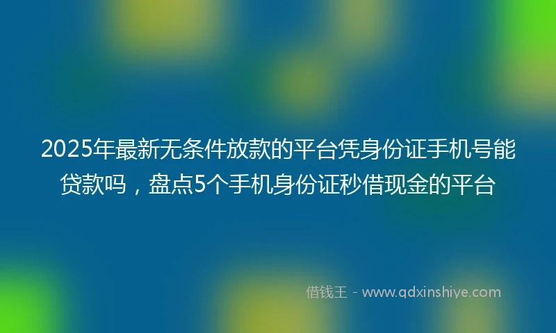 2025年最新无条件放款的平台凭身份证手机号能贷款吗,盘点5个手机身份证秒借现金的平台
