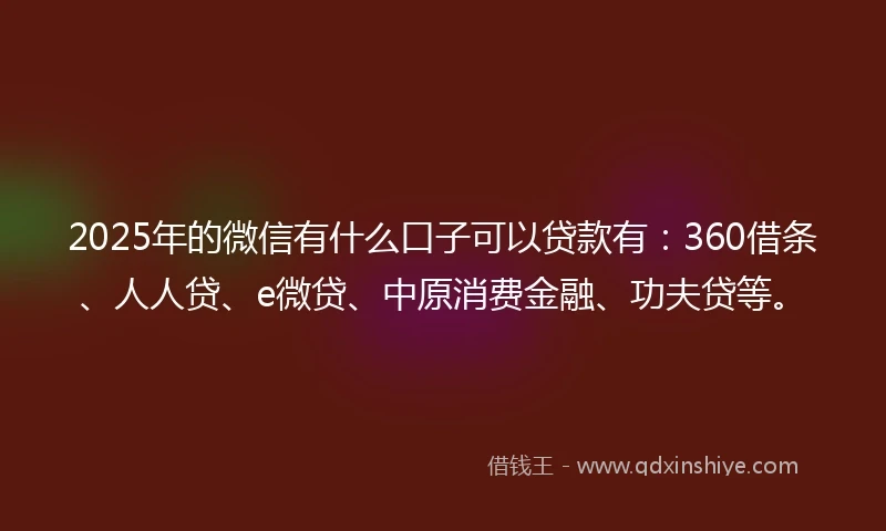 2025年的微信有什么口子可以贷款有：360借条、人人贷、e微贷、中原消费金融、功夫贷等。