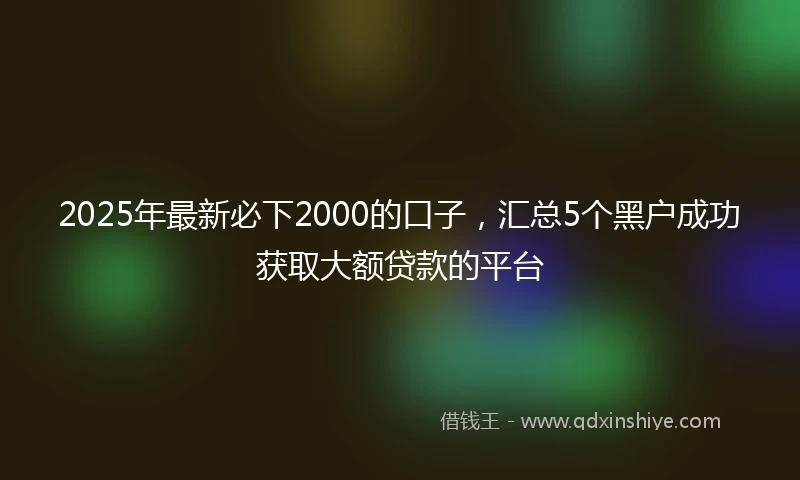 2025年最新必下2000的口子，汇总5个黑户成功获取大额贷款的平台