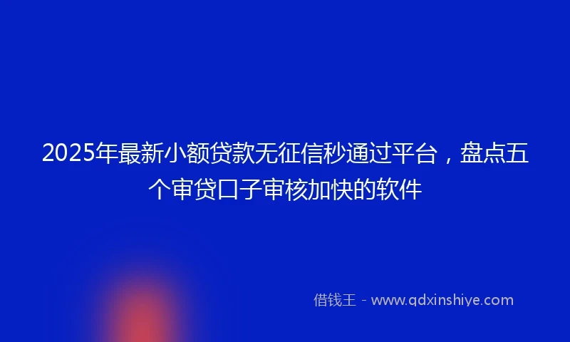 2025年最新小额贷款无征信秒通过平台，盘点五个审贷口子审核加快的软件