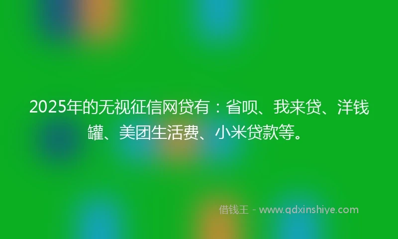 2025年的无视征信网贷有：省呗、我来贷、洋钱罐、美团生活费、小米贷款等。