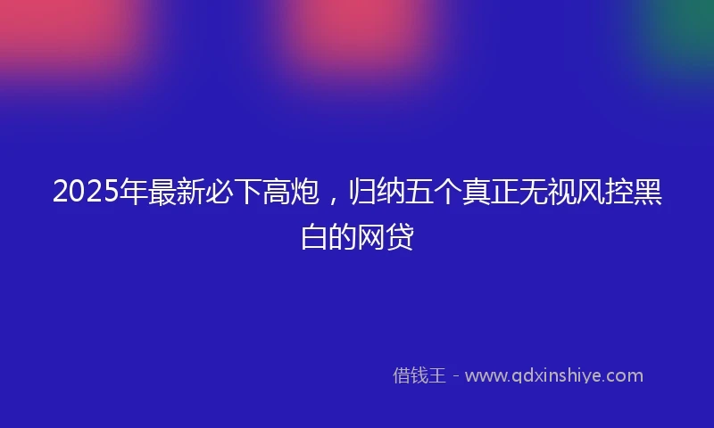 2025年最新必下高炮，归纳五个真正无视风控黑白的网贷