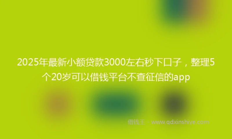 2025年最新小额贷款3000左右秒下口子，整理5个20岁可以借钱平台不查征信的app