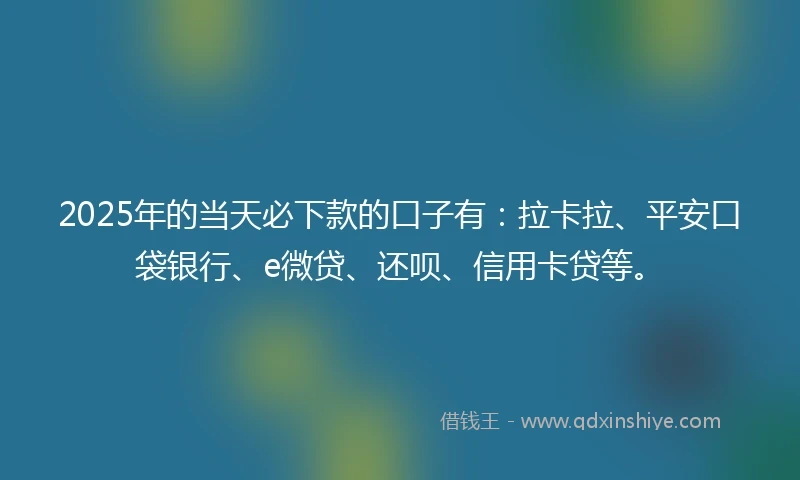 2025年的当天必下款的口子有：拉卡拉、平安口袋银行、e微贷、还呗、信用卡贷等。
