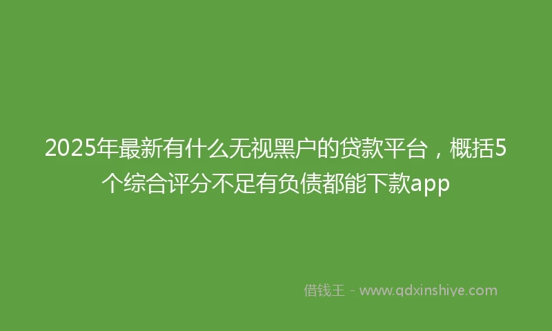 2025年最新有什么无视黑户的贷款平台，概括5个综合评分不足有负债都能下款app