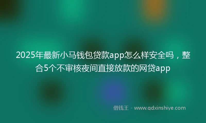 2025年最新小马钱包贷款app怎么样安全吗，整合5个不审核夜间直接放款的网贷app