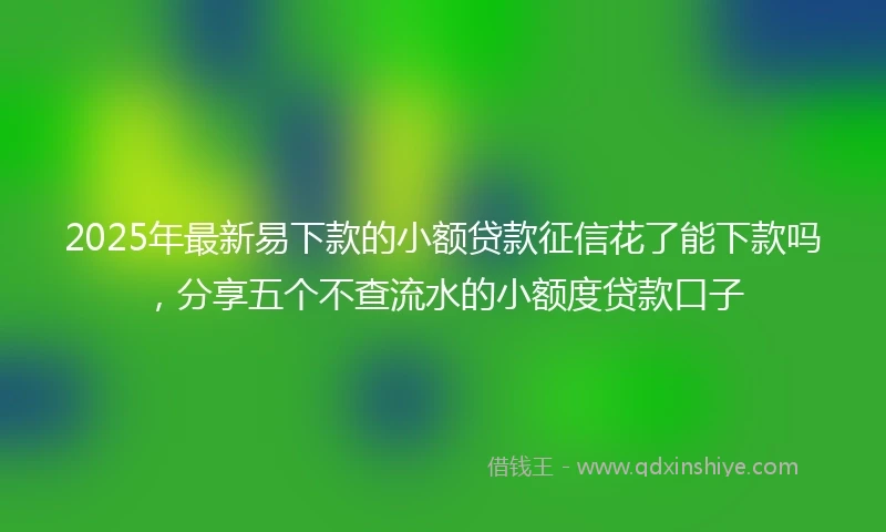 2025年最新易下款的小额贷款征信花了能下款吗，分享五个不查流水的小额度贷款口子