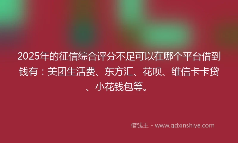 2025年的征信综合评分不足可以在哪个平台借到钱有：美团生活费、东方汇、花呗、维信卡卡贷、小花钱包等。