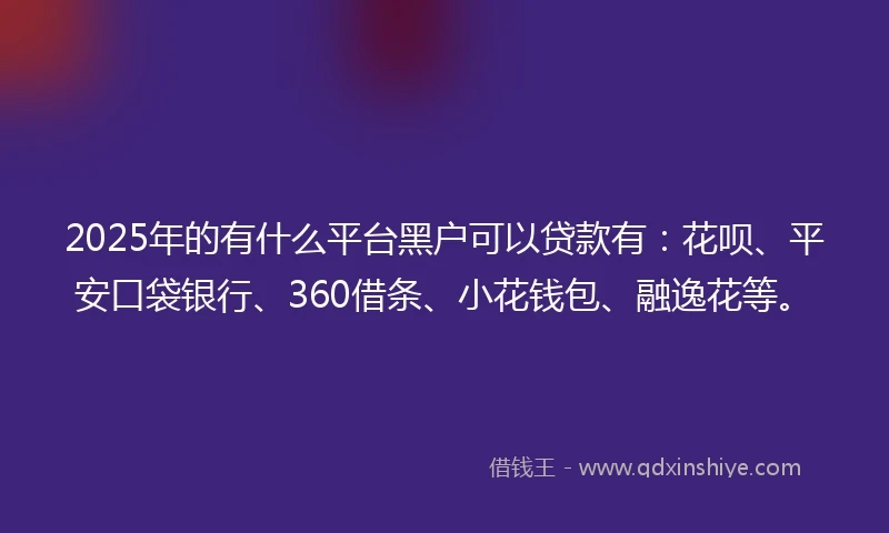 2025年的有什么平台黑户可以贷款有：花呗、平安口袋银行、360借条、小花钱包、融逸花等。