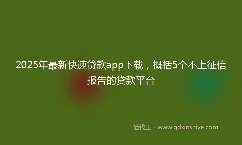2025年最新快速贷款app下载，概括5个不上征信报告的贷款平台