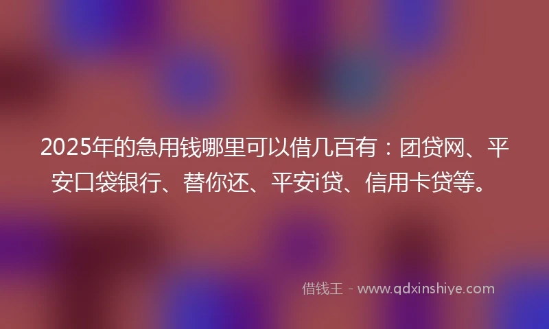 2025年的急用钱哪里可以借几百有：团贷网、平安口袋银行、替你还、平安i贷、信用卡贷等。