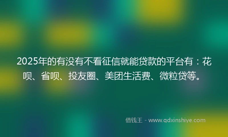 2025年的有没有不看征信就能贷款的平台有：花呗、省呗、投友圈、美团生活费、微粒贷等。