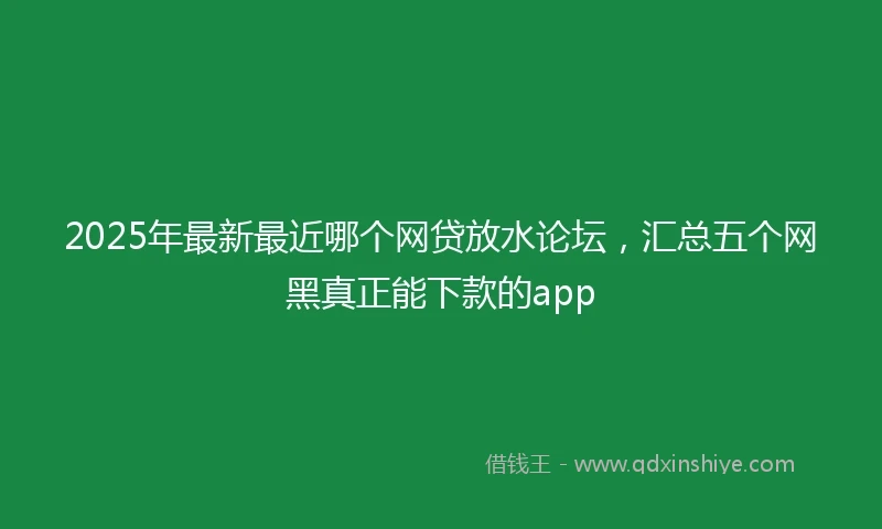 2025年最新最近哪个网贷放水论坛，汇总五个网黑真正能下款的app