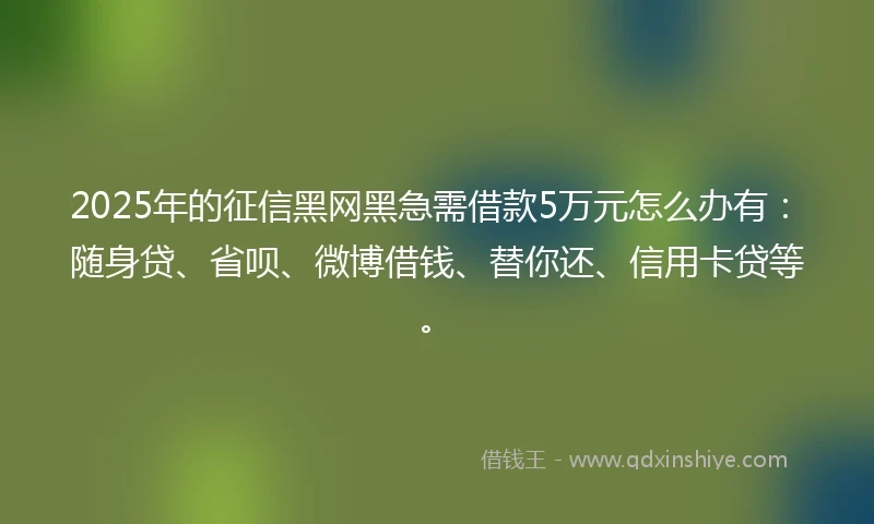 2025年的征信黑网黑急需借款5万元怎么办有：随身贷、省呗、微博借钱、替你还、信用卡贷等。