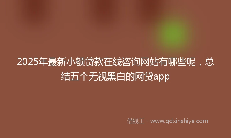 2025年最新小额贷款在线咨询网站有哪些呢，总结五个无视黑白的网贷app