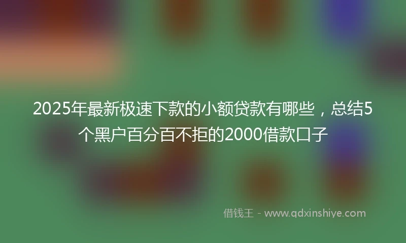 2025年最新极速下款的小额贷款有哪些，总结5个黑户百分百不拒的2000借款口子
