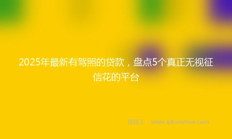 2025年最新有驾照的贷款，盘点5个真正无视征信花的平台