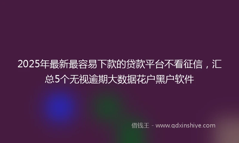 2025年最新最容易下款的贷款平台不看征信，汇总5个无视逾期大数据花户黑户软件