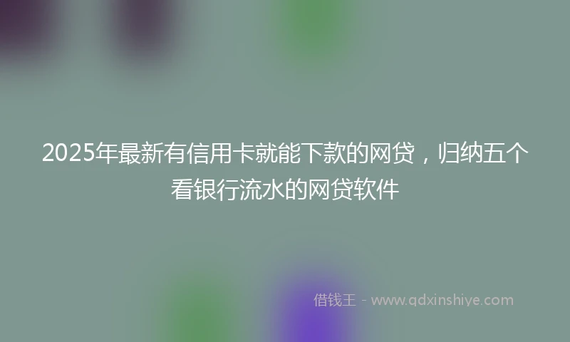 2025年最新有信用卡就能下款的网贷，归纳五个看银行流水的网贷软件