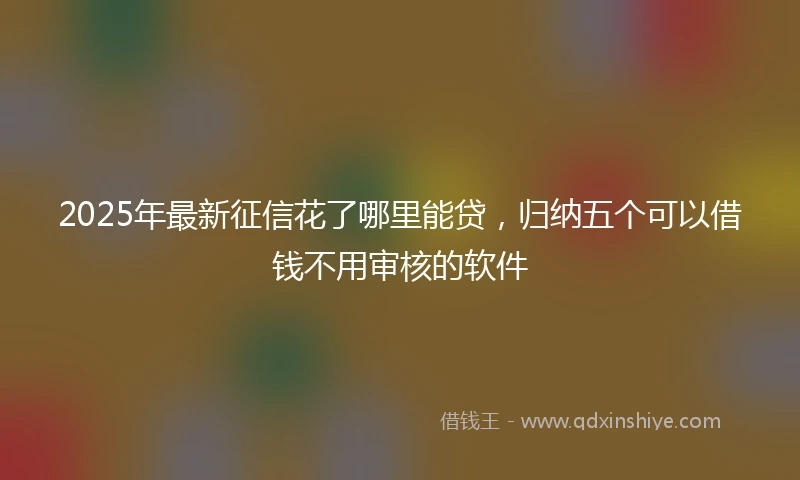 2025年最新征信花了哪里能贷，归纳五个可以借钱不用审核的软件