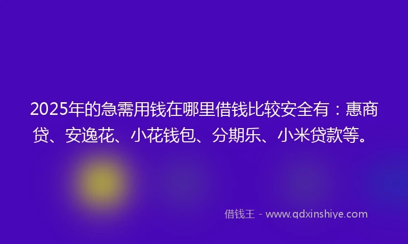 2025年的急需用钱在哪里借钱比较安全有：惠商贷、安逸花、小花钱包、分期乐、小米贷款等。